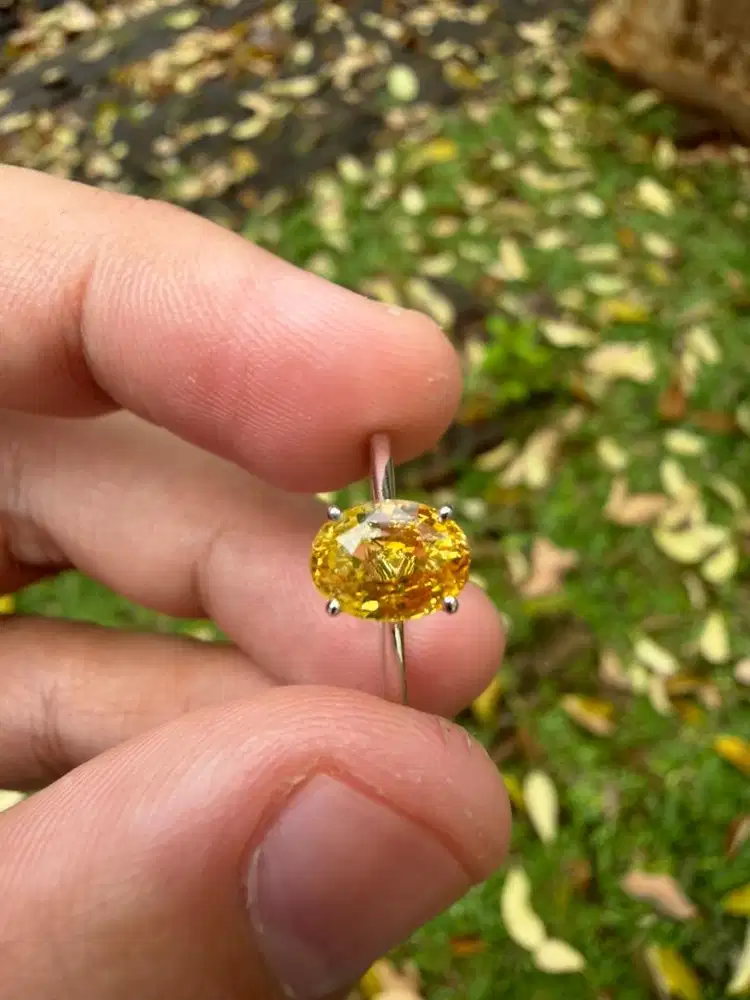 Yellow sapphire 1.58ct