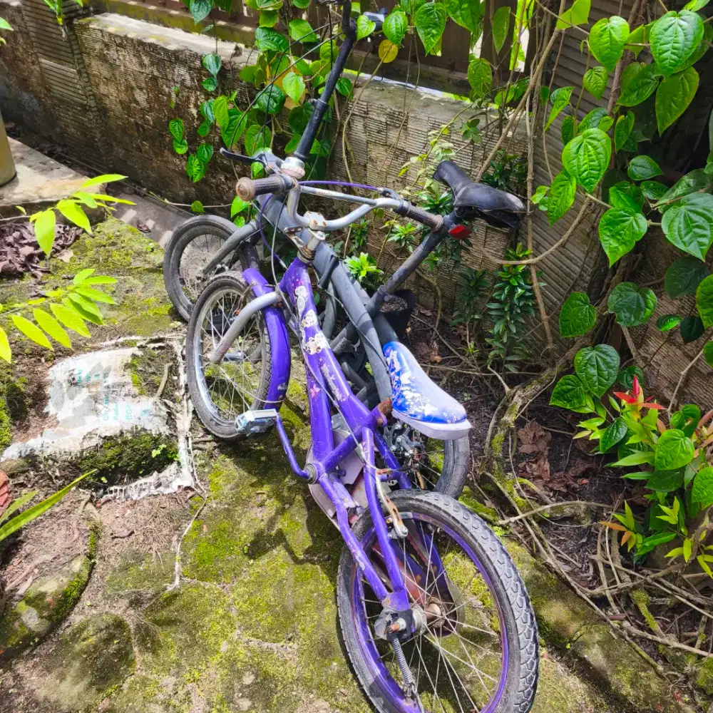 sepeda bekas murah meriah