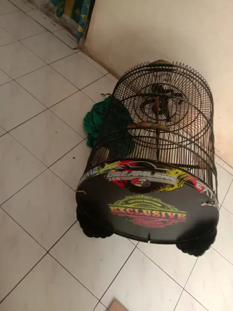 Kandang murai Rafi jaya decal air brush no 2 fulset 450 k pondok aren