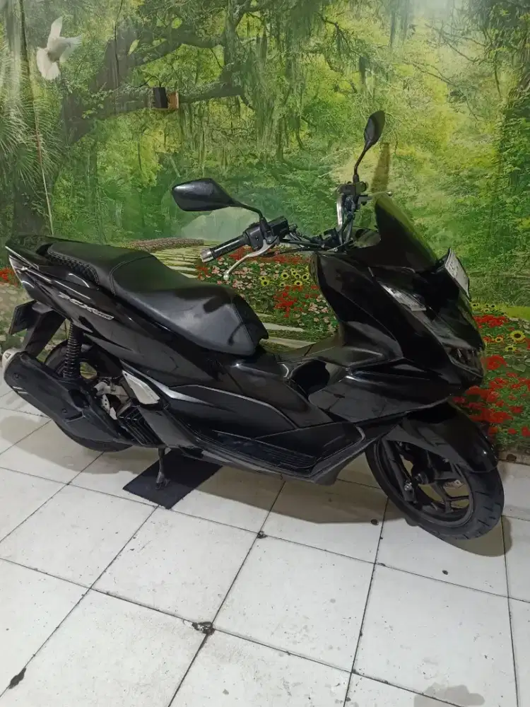 Honda PCX th 2023 original istimewa gress
