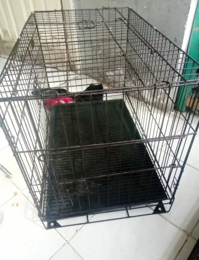 Kandang kucing besar besi tebal