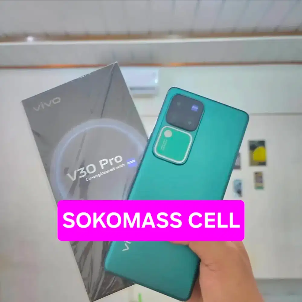 Termurah : Seken Vivo V30 Pro (12/512)
