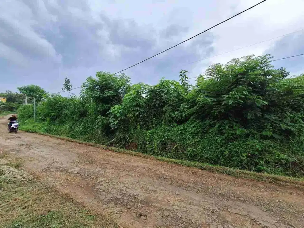 Tanah Luas 6500 Area Jl Joyoagung Merjosari