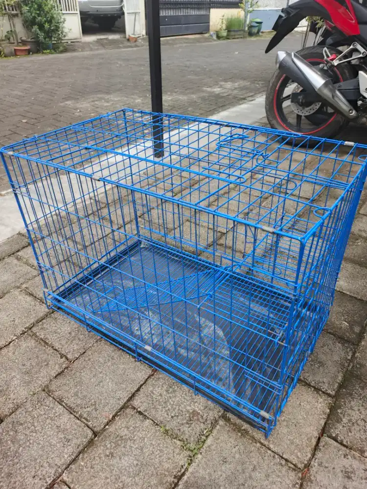 Kandang kucing kondisi baik