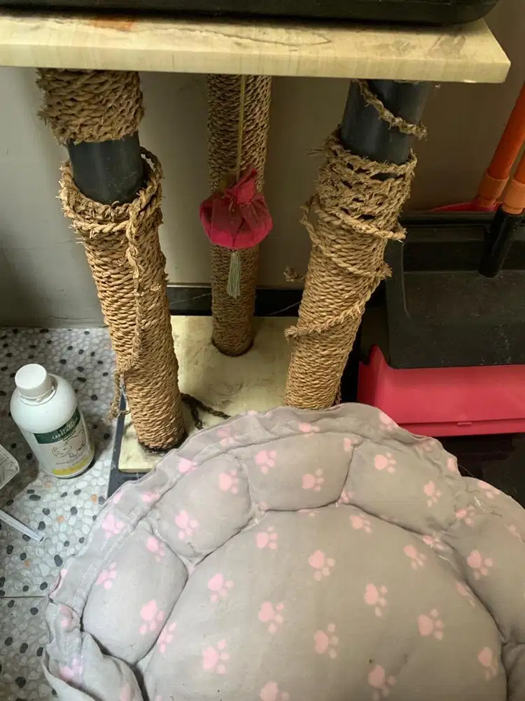 cakaran dan bantal kucing bekas