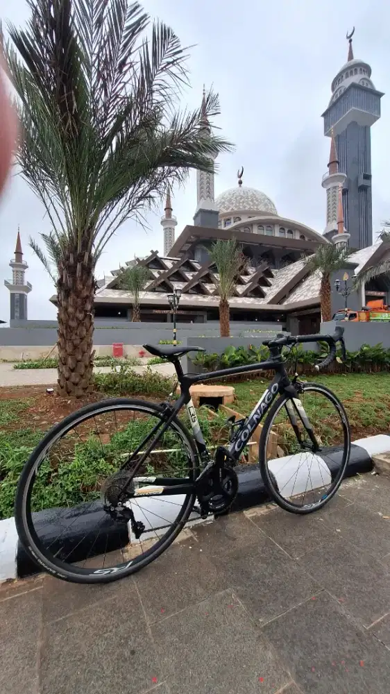 Roadbike Colnago CRS