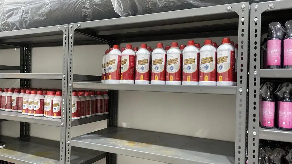 Dicari Konten Kreator Pemula Dibantu Sampai Bisa