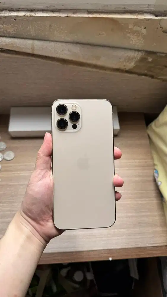 iphone 12 pro max 256