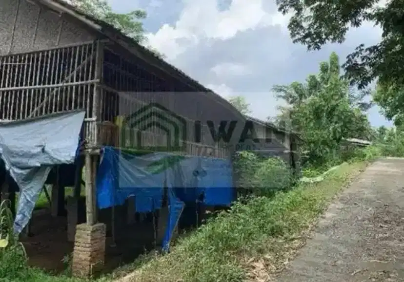 Tanah Luas + Kandang Murah Strategis Dekat Jalan DPU