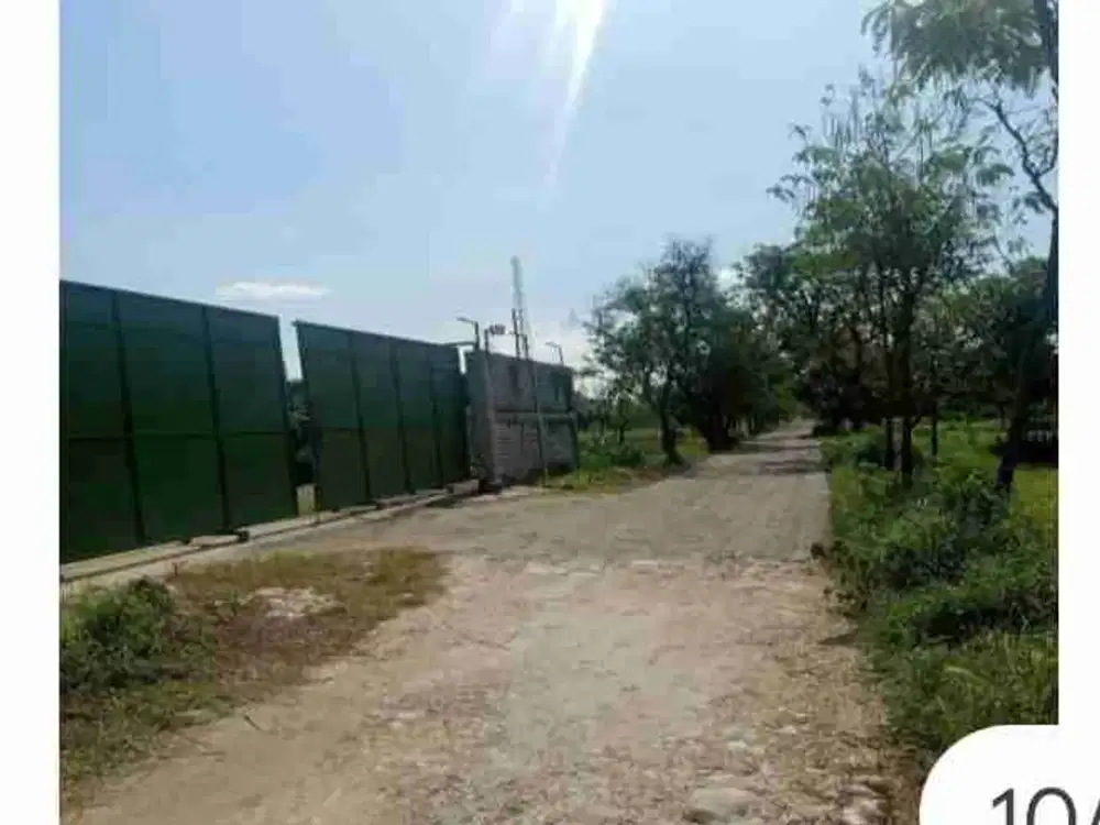 Gudang Siap Untuk Usaha Di Daerah Industri, Dekat Suramadu Dan Terminal Peti Kemas Tanjung Butuh Bangkalan

Spesifikasi : 

Luas Tanah : 4001m²

Luas Bangunan : 1800m²

Kamar Tidur : 4

Kamar Mandi 3 + 5

PLN : 2200 Watt

Hadap : Barat 

SHM

Harga 6 Mily