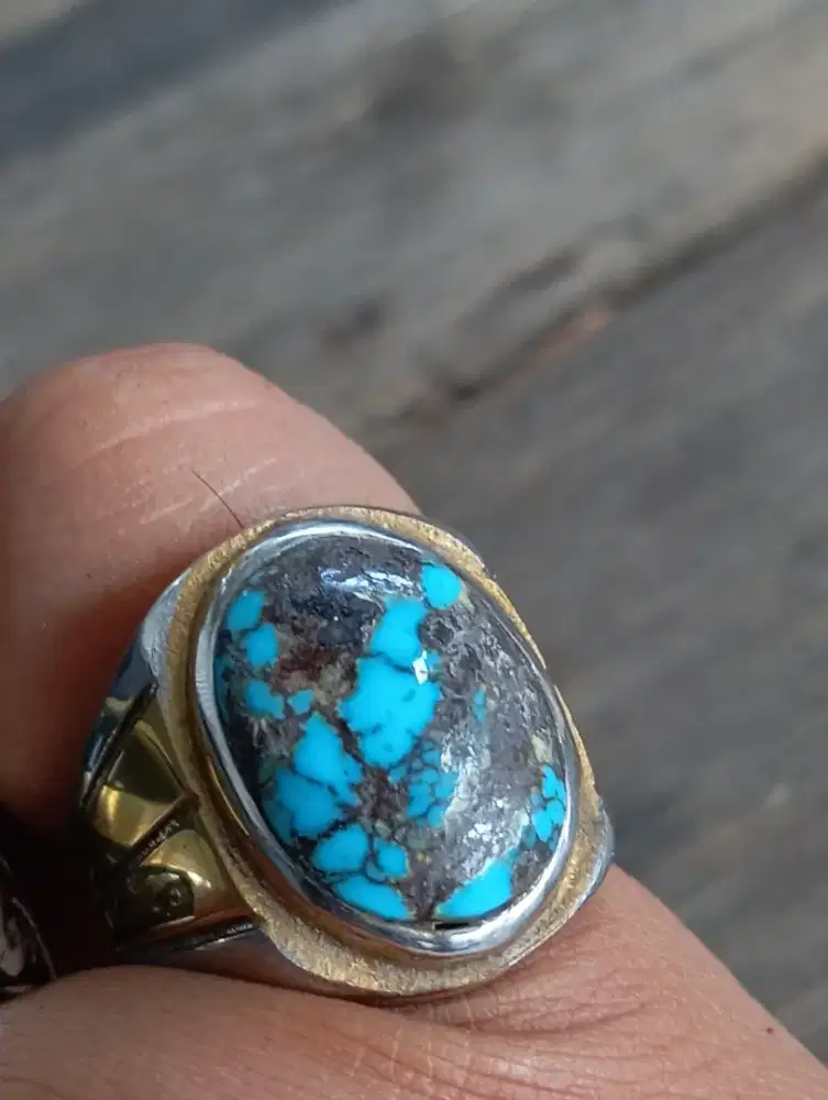 Pirus Persia Biru Fancy Lawas Ngerikil