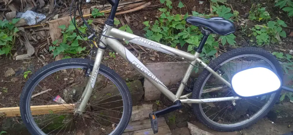 Jual sepeda Polygon junior 24 kondisi siap pakai