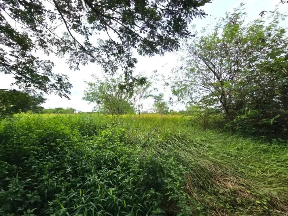 Kavling dikawasan industri Greenland luas 11118m Delta Mas Cikarang