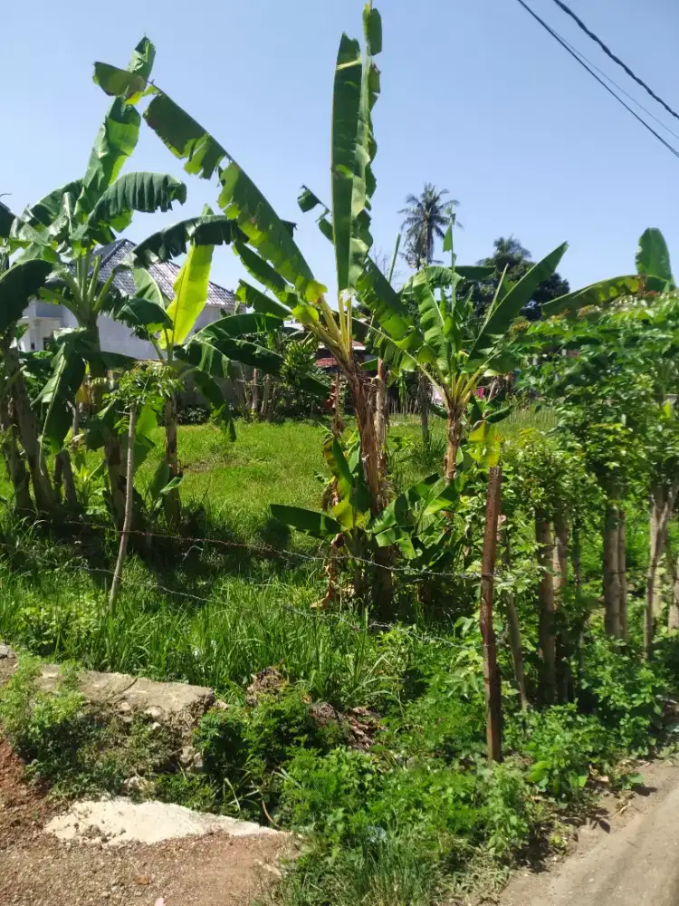 Dijual tnh luas 430mtr dekat mesjid Nurul Huda peunyerat