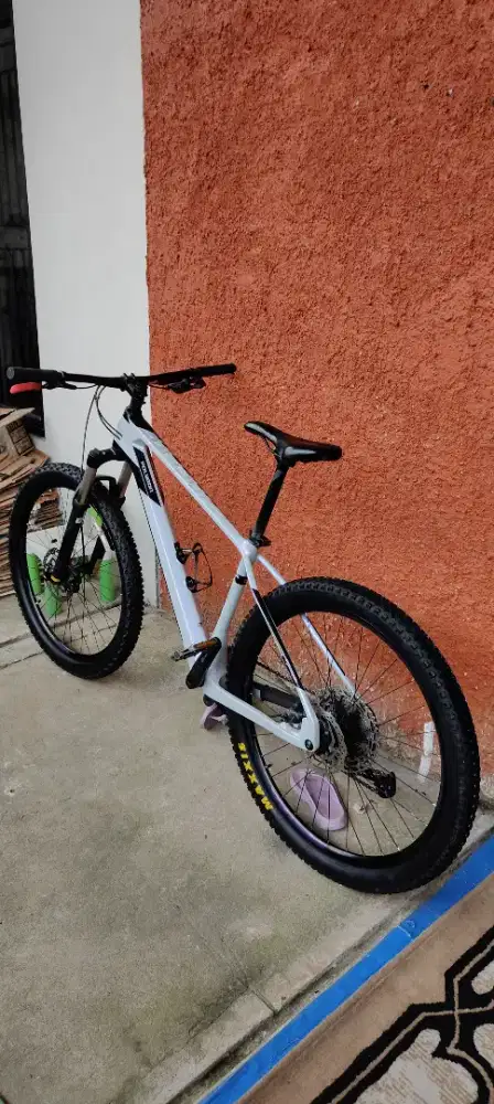 Polygon Syncline C2 Josssss gandosss