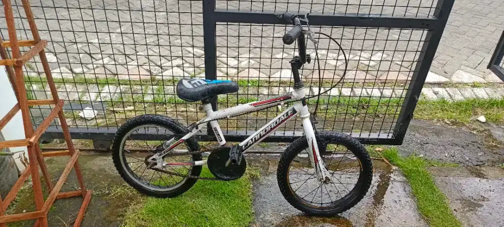 sepeda anak ukutan 16