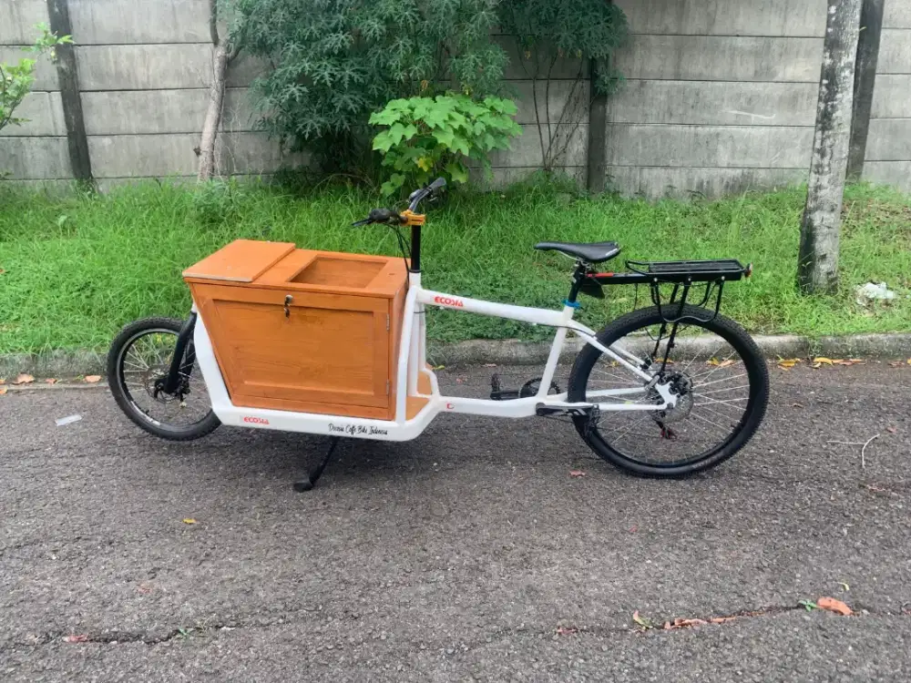 JUAL BU SEPEDA CARGO BIKE LOW DECK