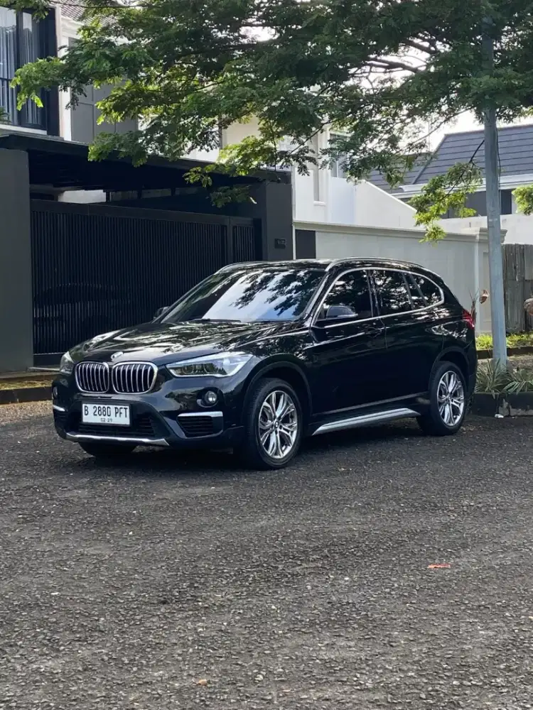 Bmw X1 Sdrive Xline Panoramic At 2018