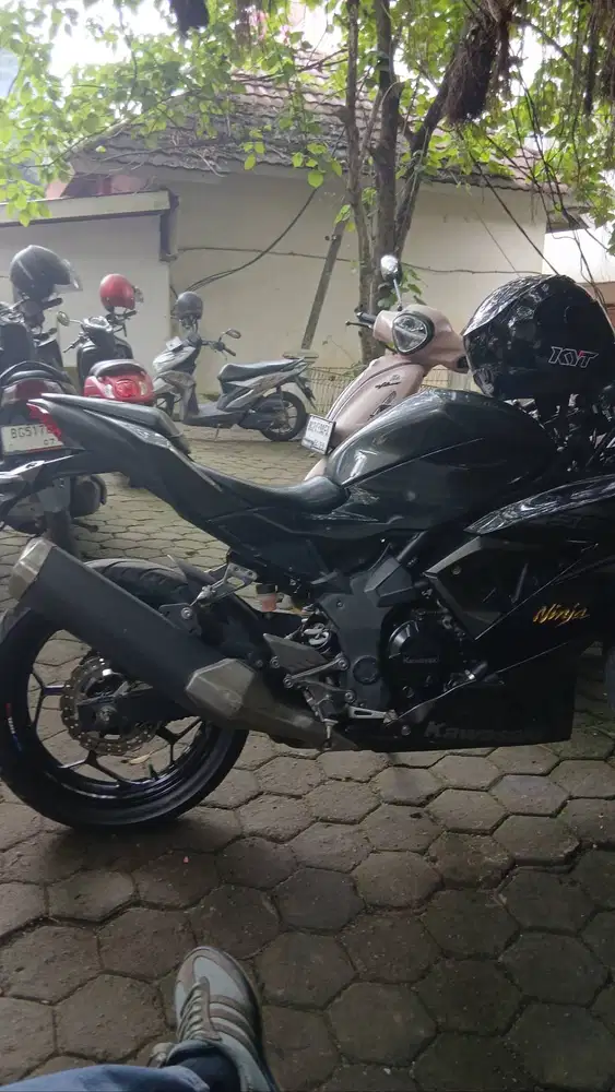 Kawasaki Ninja Mono SL 250cc.