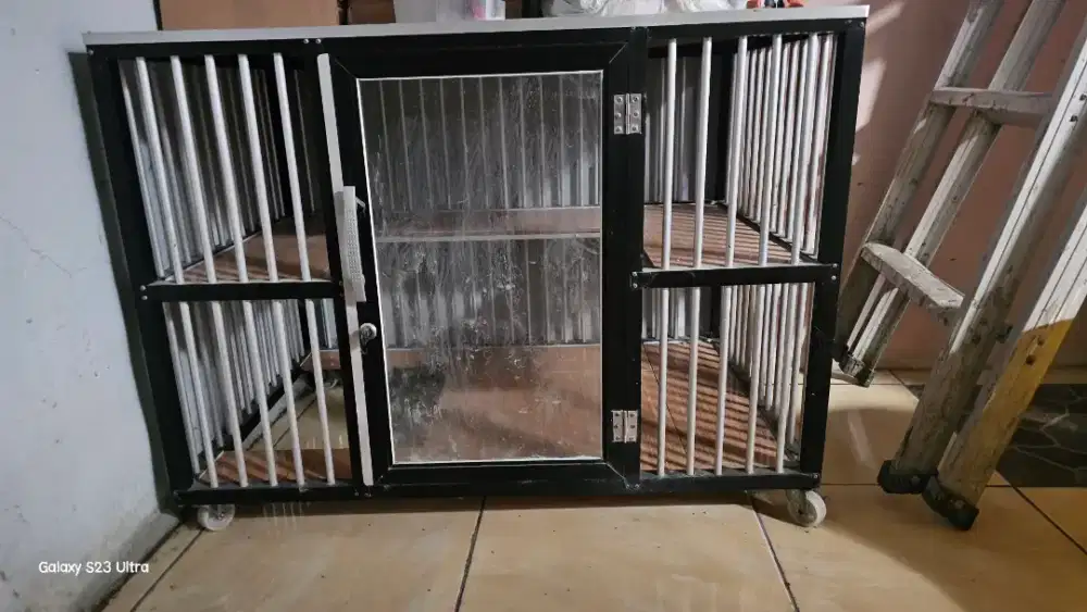 Kandnag kucing keramik Kaca