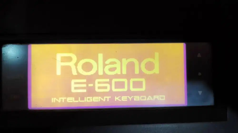Roland e600 mulus normal