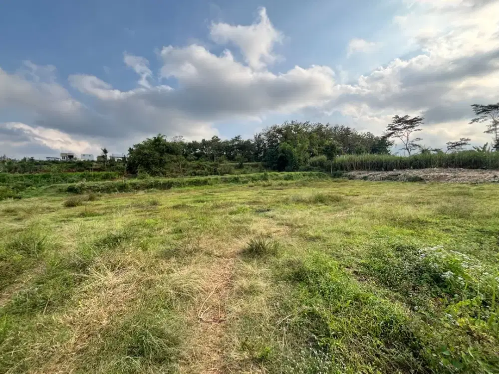 DIJUAL TANAH KAVLING STRATEGIS DI JEDONG – SIAP BANGUN