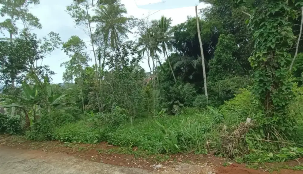 Dijual murah Tanah Luas di Panawangan Ciamis dekat Jalan Raya & Pasar