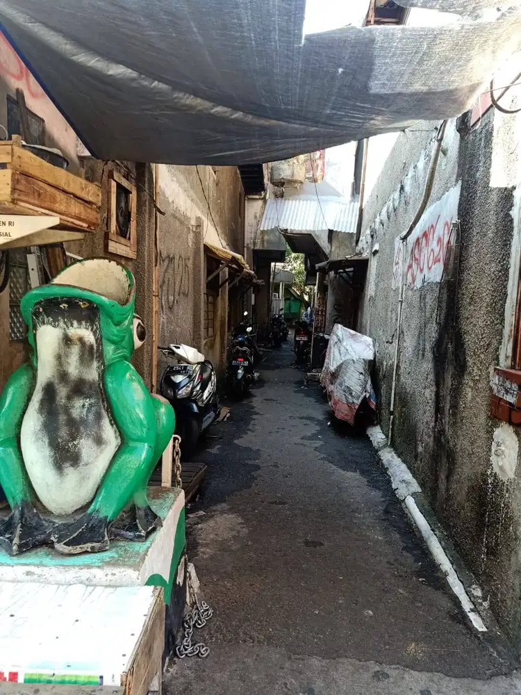 DIJUAL RUMAH Pekapuran VII 7 (Gg Sentiong Gg2 Buntu) Belakang ALFINDO