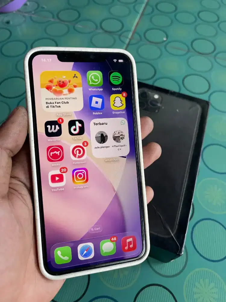 iphone 11 promax permanen