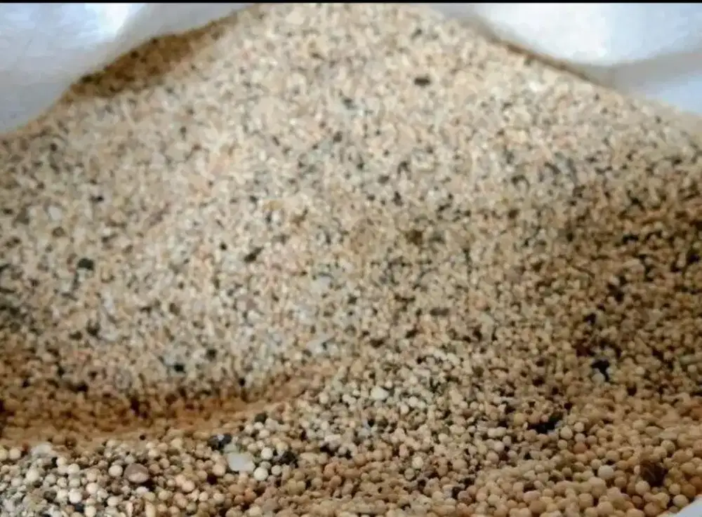 Pasir Bali Halus untuk Aquarium