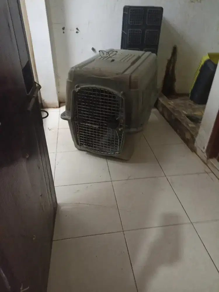 Cargo petmate USA uk 36