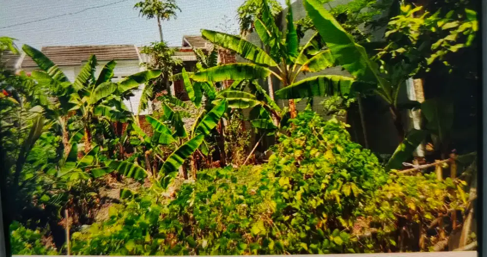 Jual cepat tanah di daerah bandung timur (Margahayu Raya)