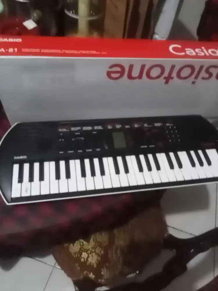 Jual alat musik mini keyboard merek Casio ca 80