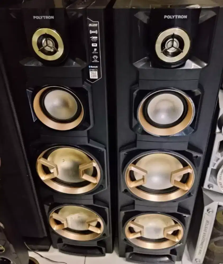 Spieker aktif Polytron