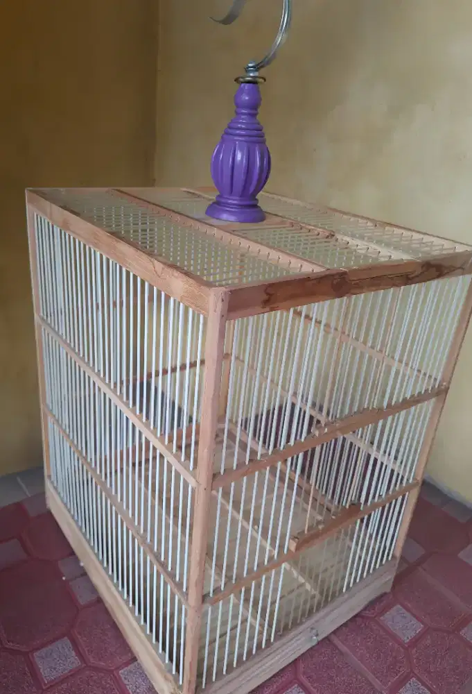 Sangkar ternak / jumbo