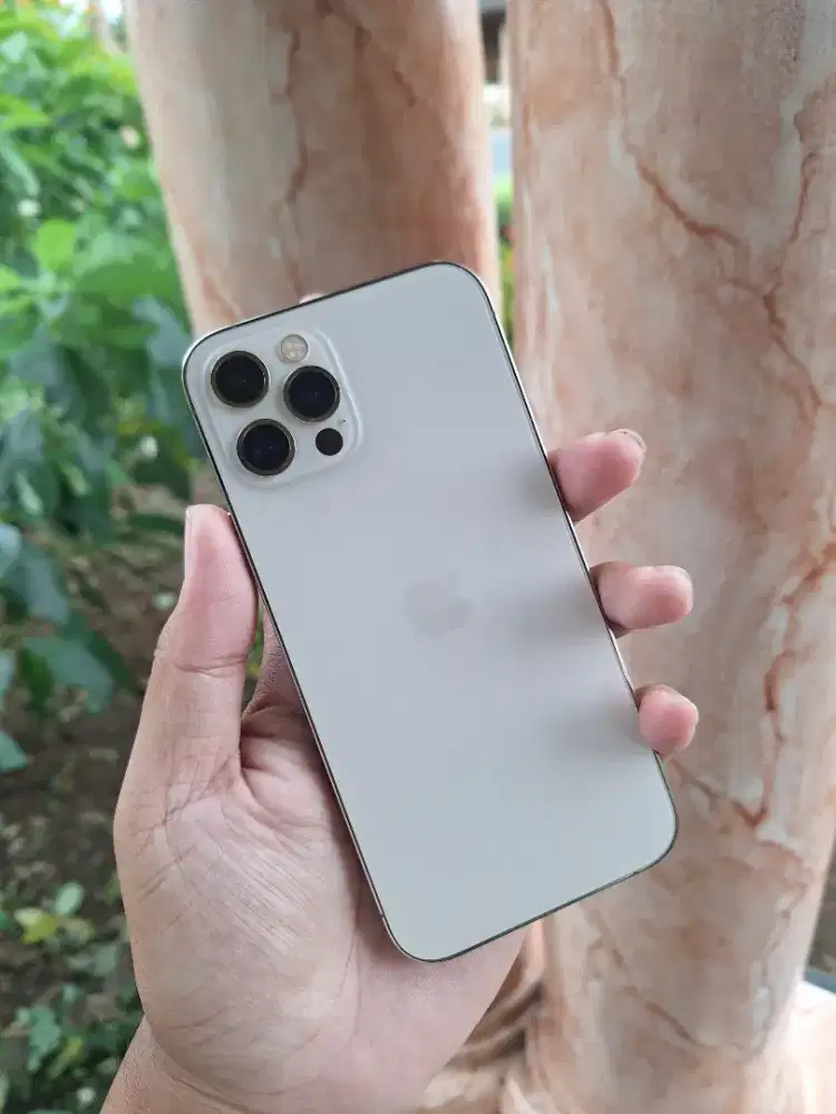 Iphone 12 Pro 256gb Resmi