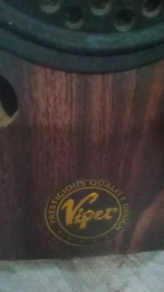 Speaker merk Viper