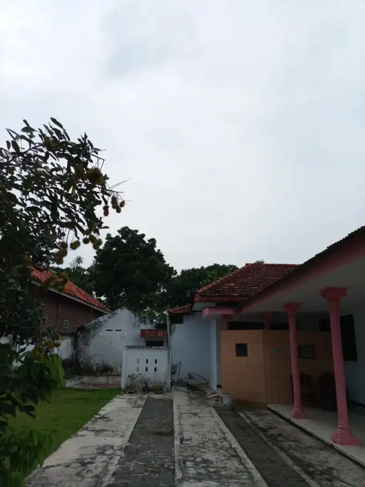 Rumah Strategis Muneng Sumberasih – 500m Exit Tol, 300m Pasar