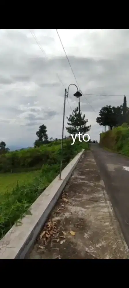 Jual tanah murah bawah pasaran lokasi candi Sukuh lt 3500m hrg 700rb/m