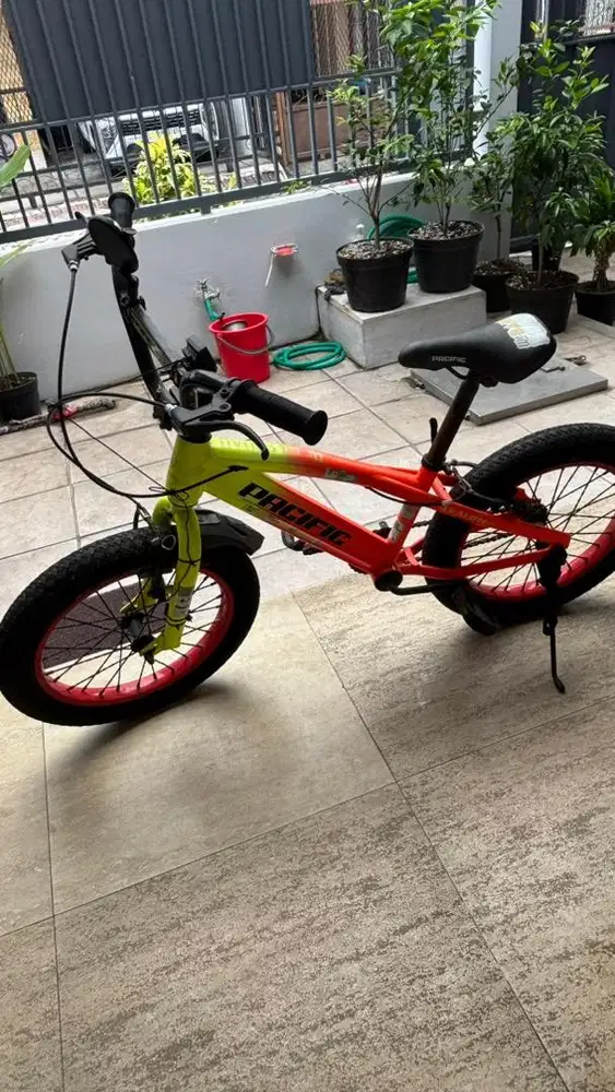 Sepeda Pasific anak