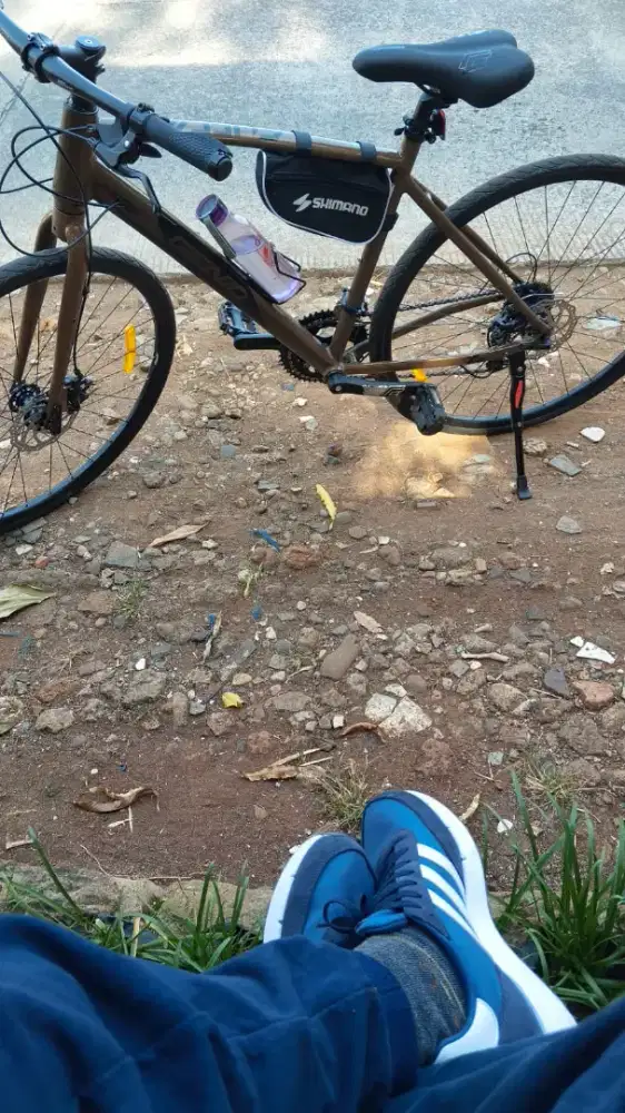 Sepeda Genio Sweep R 700C