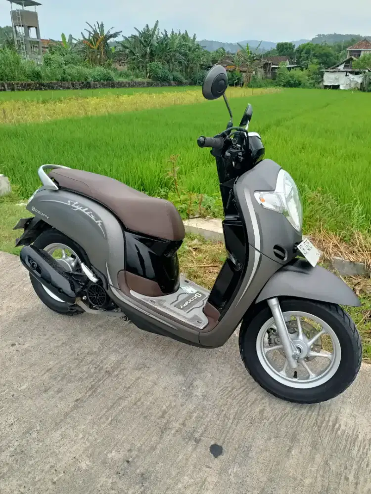 Scoopy fi matte brown