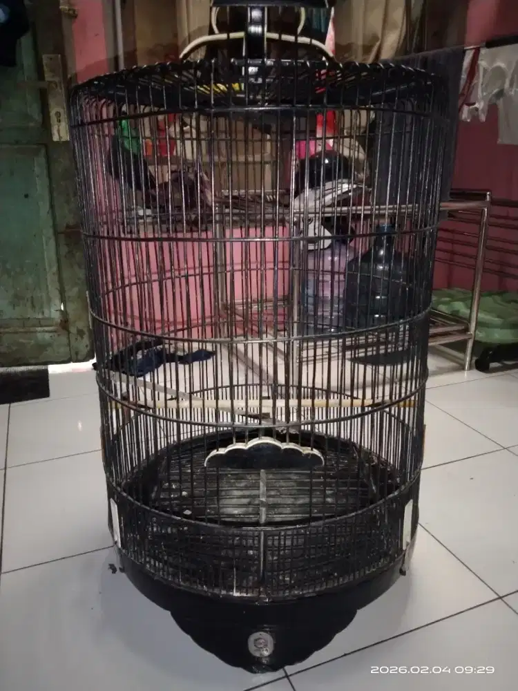 Kandang murai Ebod lawas no.3