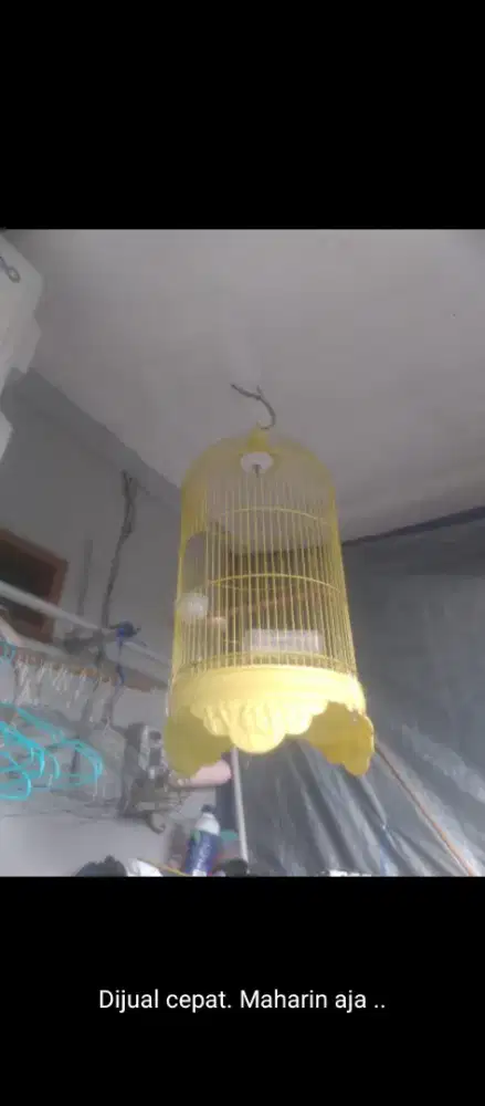 Jual KANDANG BURUNG