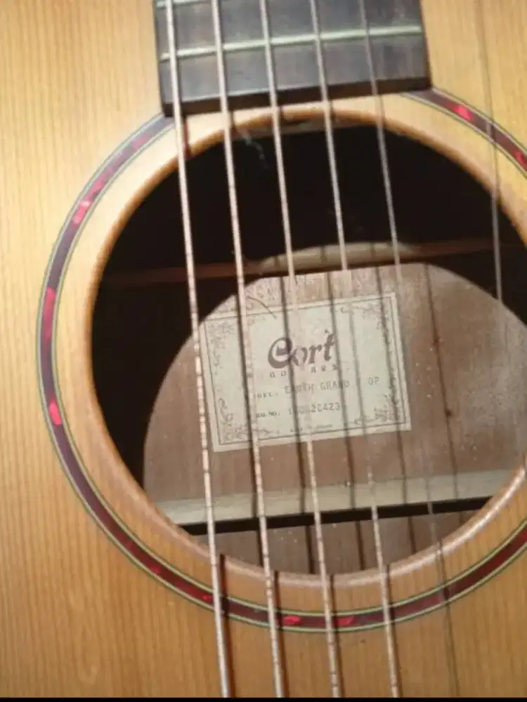 Gitar Cort Grand F OP