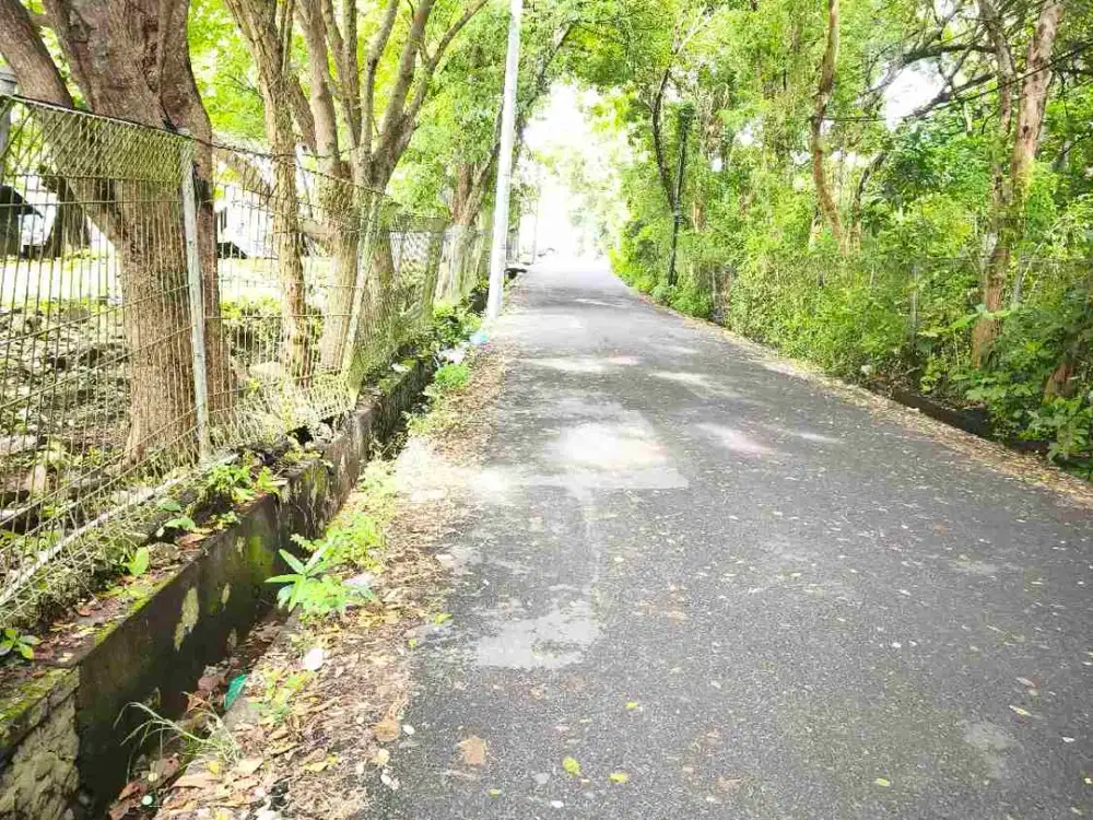 dijual tanah 1,7 M /ARE DEPAN PANTAI KEDONGANAN BADUNG BALI