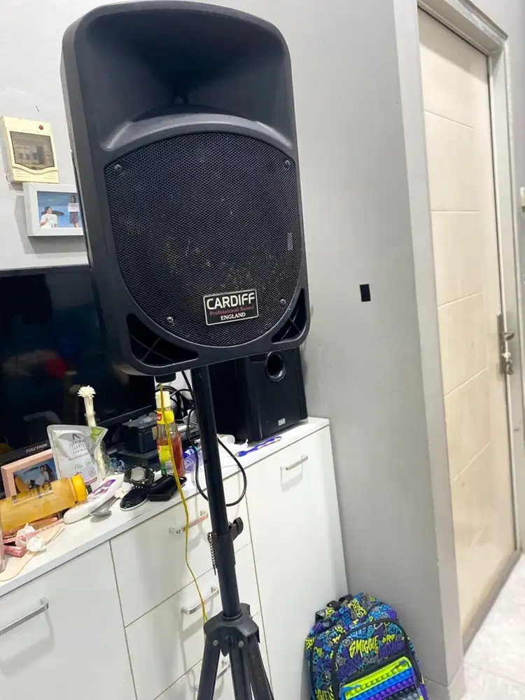 Speaker Aktive Cardiff 12 Inch