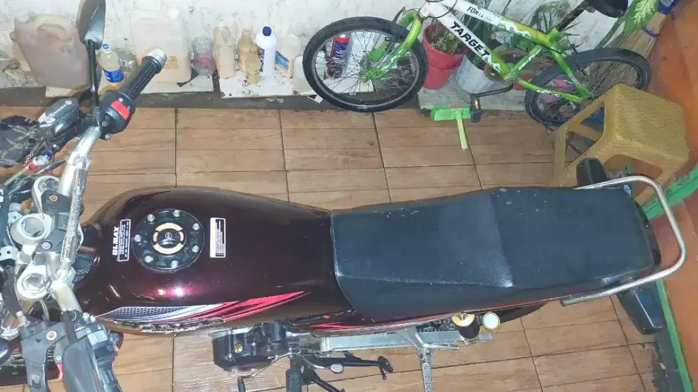 Gl Max neotech 2001.