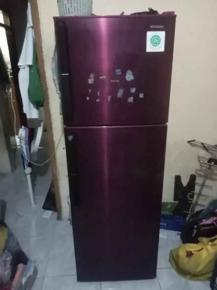 Kulkas sharp 2 pintu
