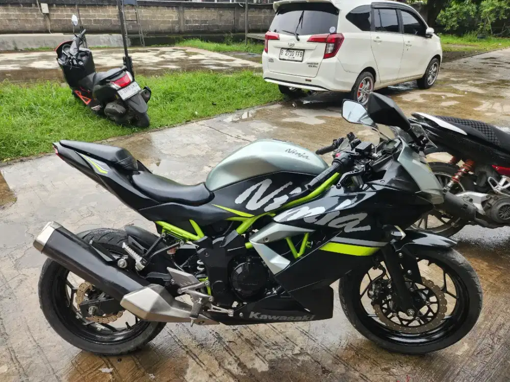 Ninja 250 RR mono